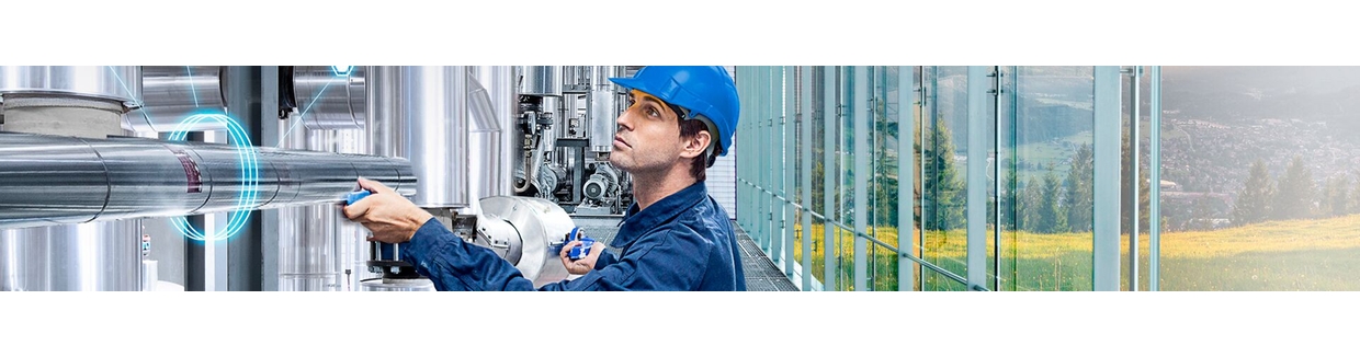 Experiencia técnica en producción de Endress+Hauser SICK GmbH+Co. KG