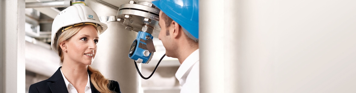 Empleo en Endress+Hauser SICK, Alemania