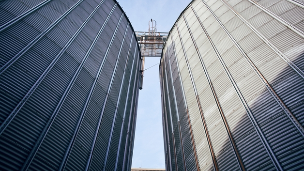 Silos de semillas como materia prima